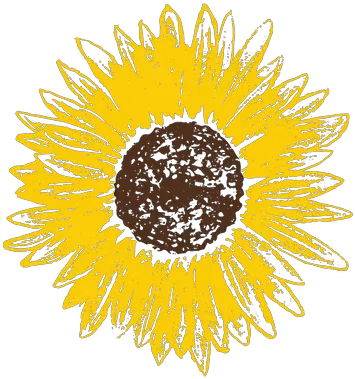 Home Pay It Forward Lvz Dot Png Sunflower Icon