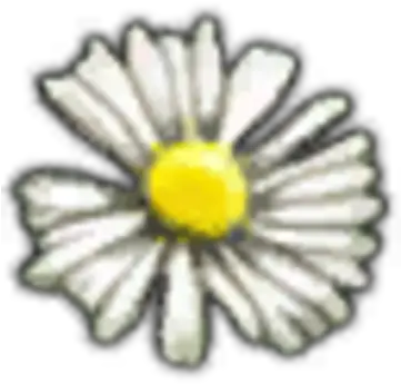 White Myrtle Petals Witcher Wiki Fandom Petal Png Flower Petal Png