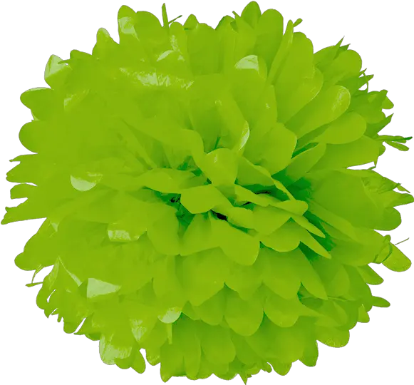 Green Apple Tissue Pom Poms Pom Pom Png Pom Pom Png