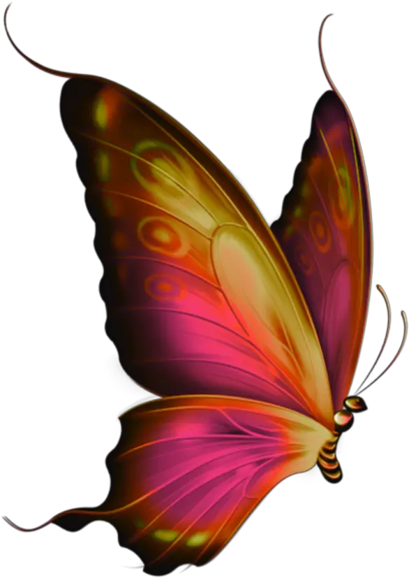 Download Mq Red Butterfly Butterflys Flying Flying Butterfly Pink Side View Png Butterfly Flying Png png