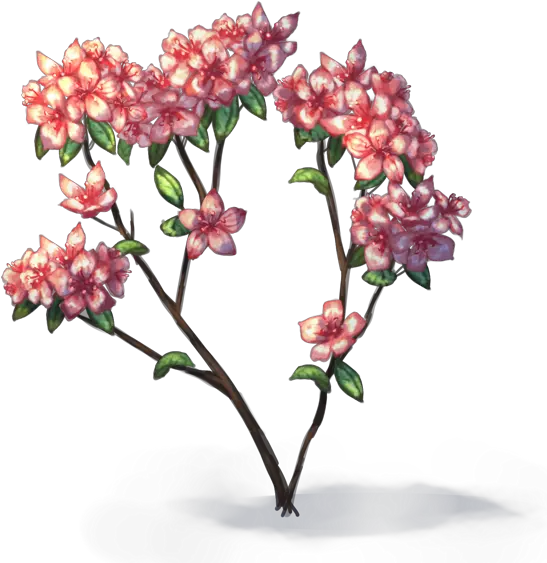 Using The Transform Masks Azalea Flowers Drawing Png Krita Icon