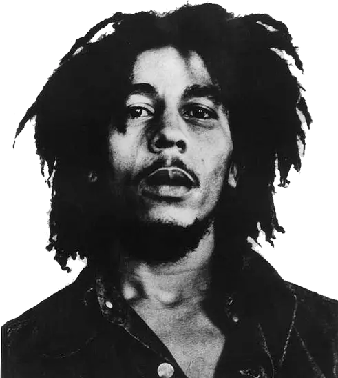 Png Images Pngs Parental Advisory Bob Marley Short Dreads Explicit Content Png