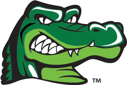 Bullpen Marketing Brings Uhdu0027s Ed Ugator To Life Academic Png Gator Icon