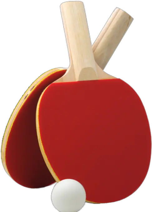 Ping Pong Paddle Png Ping Pong Transparent Background Ping Pong Png