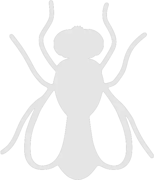 Flying Insects Everyday Pest Control Png Fly Repellent Icon