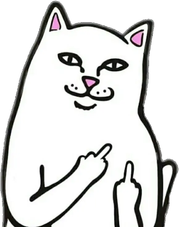 Black And White Cat Png Cat Png Fu Freetoedit Cat Rip N Dip Sticker Cat Png Image png