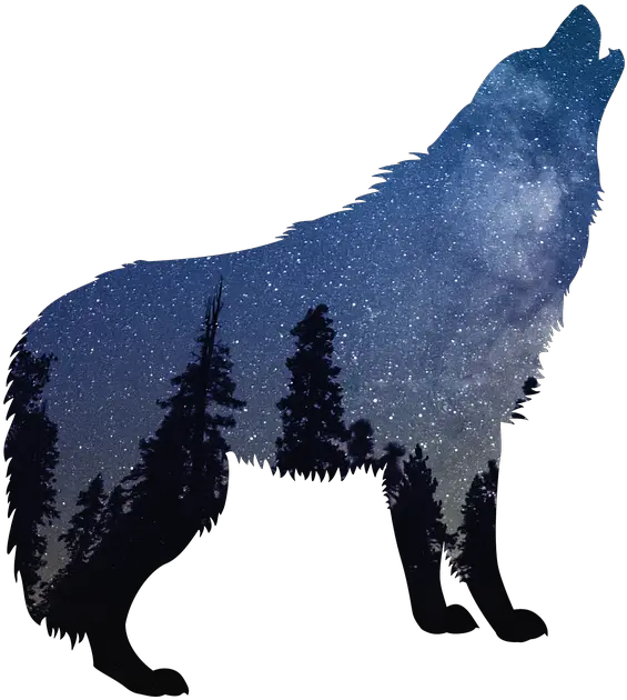 Wolves Wolf Nature Howling Wolf Silhouette Png Wolves Png