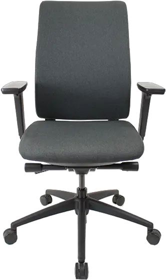 Q2 Icon Office Environments Fauteuil Alexis Conforama Png Ersa Icon Pico Review