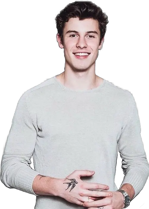 Report Abuse Shawn Mendes Photo Transparent Png Shawn Mendes Png