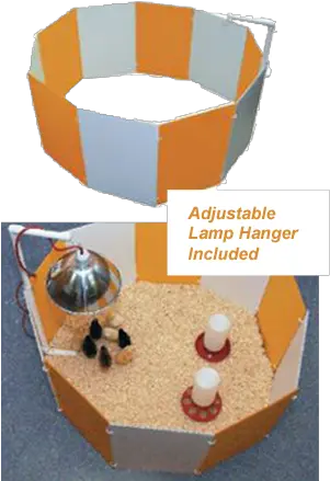 Farm Innovators Baby Chick Starter Home Baby Chick Starter Home Png Baby Chick Png png