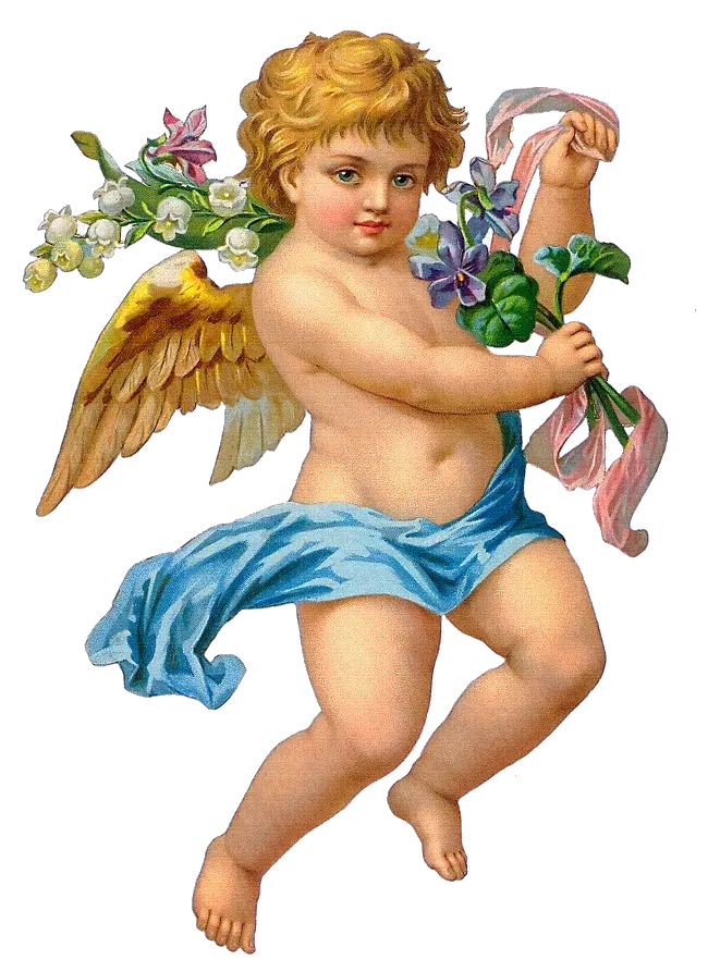 Download Cupid Clipart Cherub Cupid Angel Png Png Image Cherub Baby Angel Painting Angel Png