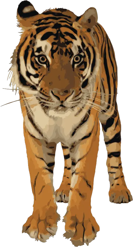 Clipart Best Png Tiger 39200 Free Icons And Png Backgrounds Transparent Royal Bengal Tiger Tiger Png