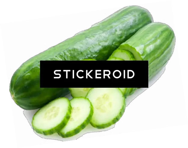 Cucumber Pic Cucumber Full Size Png Download Seekpng Cucumber Cucumber Png