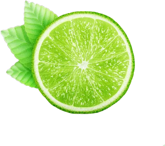 Png Free Download Juice Lemon Kaffir Green Leaves Fresh Vector Lime Transparent