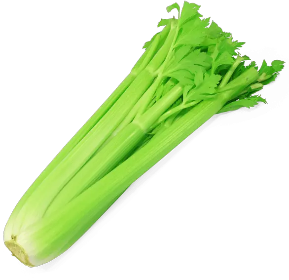 Celery Stalk 1 Pk Transparent Background Celery Transparent Png Celery Png