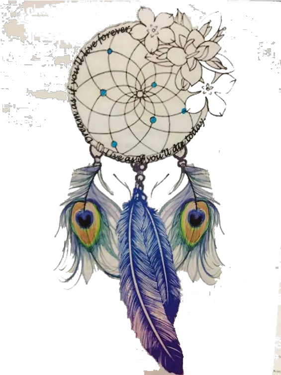 Download Tattoo Feather Drawing Beautiful Dream Catcher Design Png Feather Drawing Png
