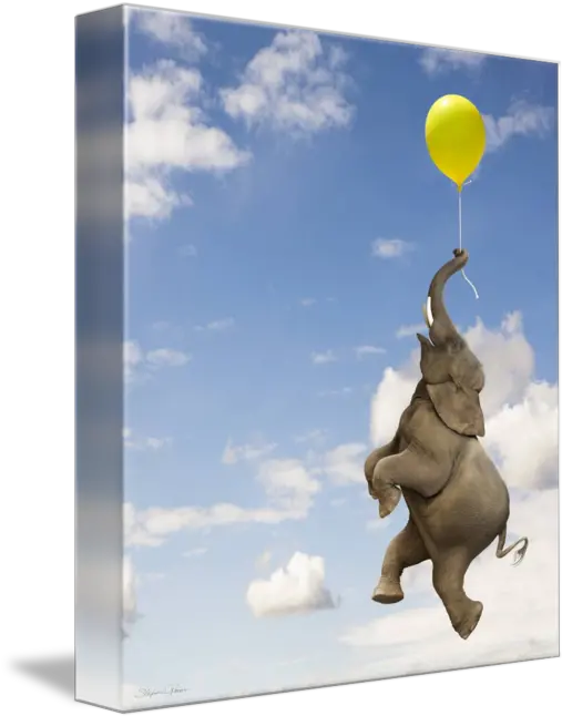 Elephant Grasping The Balloon String Floating Up By Stephanie Roeser Funny Elephant Png Balloon String Png