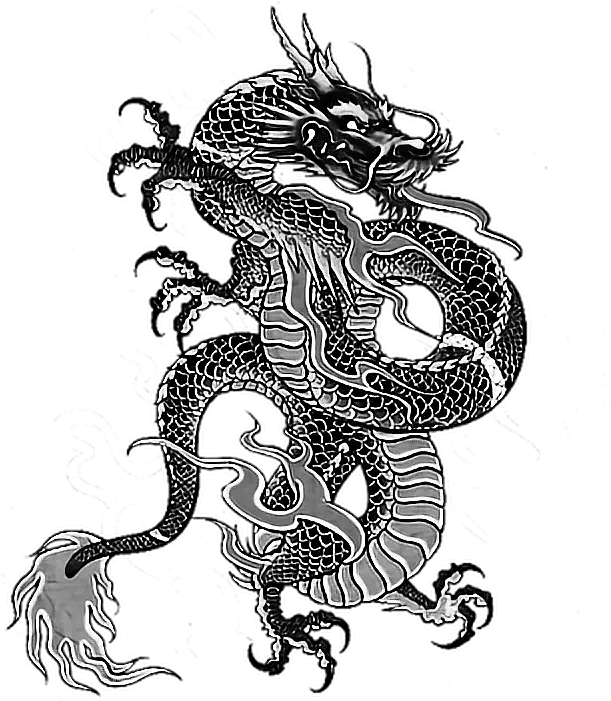 Download Tattoo Irezumi Dragon Dragonballz Yakuza Ninja Dragon Traditional Japanese Art Png Yakuza Logo