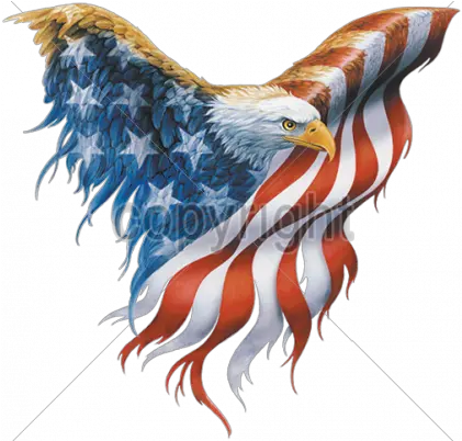 Pin American Flag Eagle Tattoo Designs Png American Flag Eagle Png