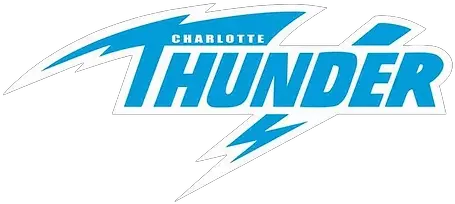 Our Team Horizontal Png Thunder Logo Png