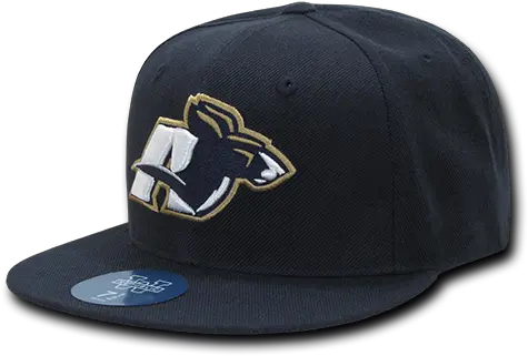 Akron Freshmen College Fitted Caps Hats For Baseball Png University Of Akron Logo