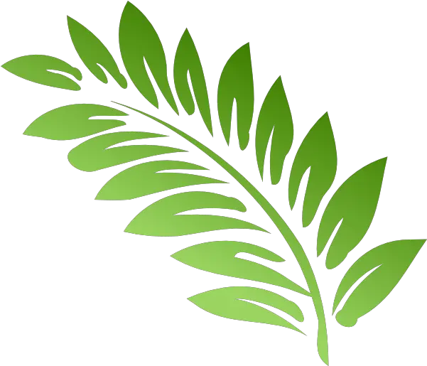 Ferns Png Fern Clipart Fern Leaf Png