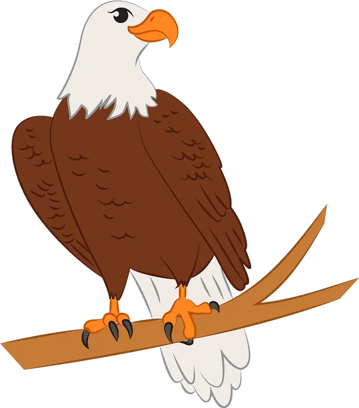 Bald Eagle Clipart Free Download Transparent Png Creazilla Eagle Clipart Eagle Transparent