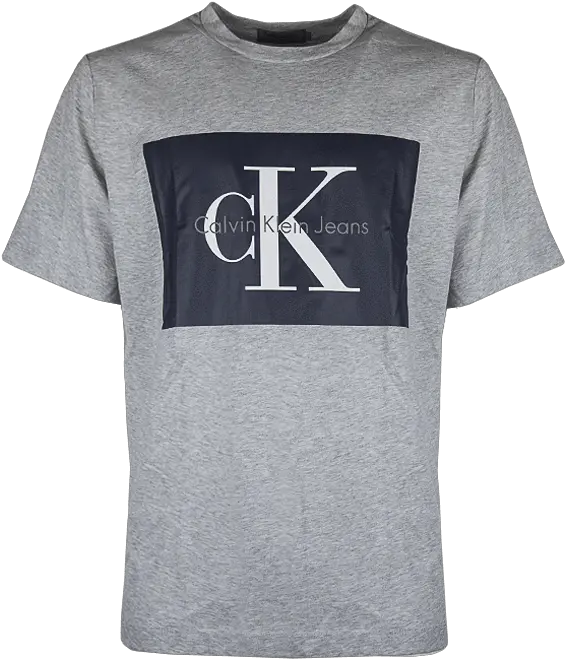 Logo Tee Grey Calvin Klein Png Calvin Klein Logo Png