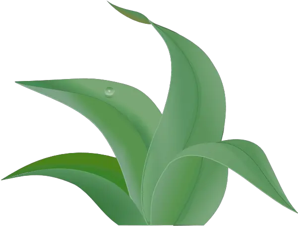 Jungle Leaves Clip Art Agave Png Jungle Leaves Png