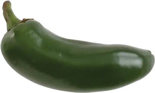 Download Jalapeno Pepper Green Jalapeno Pepper Full Size Zucchini Png Pepper Transparent