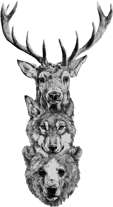 Deer Wolf Bear Tattoo Deer Wolf Bear Tattoo Png Deer Skull Png