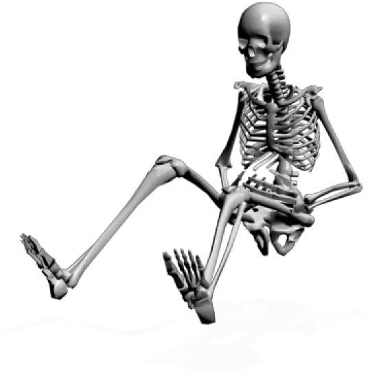 Icon Library Skeleton Png Transparent Background Free Skeleton Png Human Skull Png