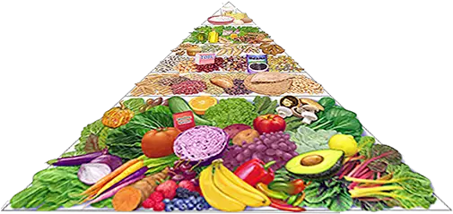 Journals U0026 Journeys Food Articles Natural Foods Png Food Pyramid Png png