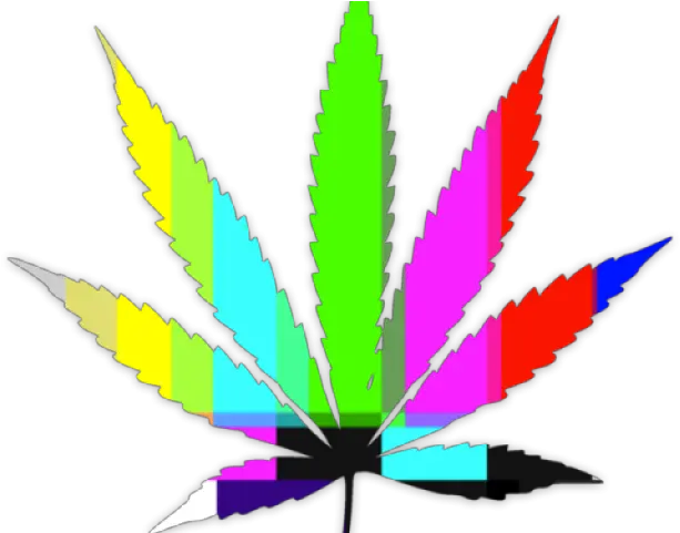 Download Hd Weed Leaf Transparent Png Marihuana Png Weed Leaf Png