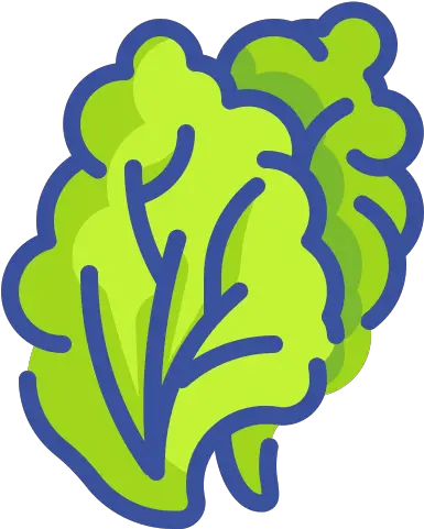 Lettuce Free Food Icons Lechuga Icon Png Lettuce Icon