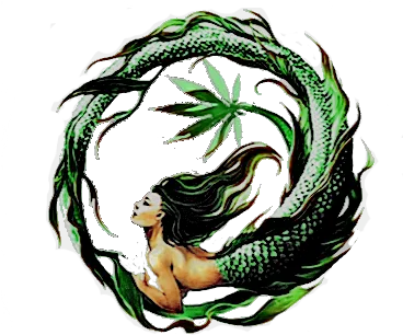 Lanzarote Logo Design Web Designers In Mermaid Illustrations Png Internet Logos