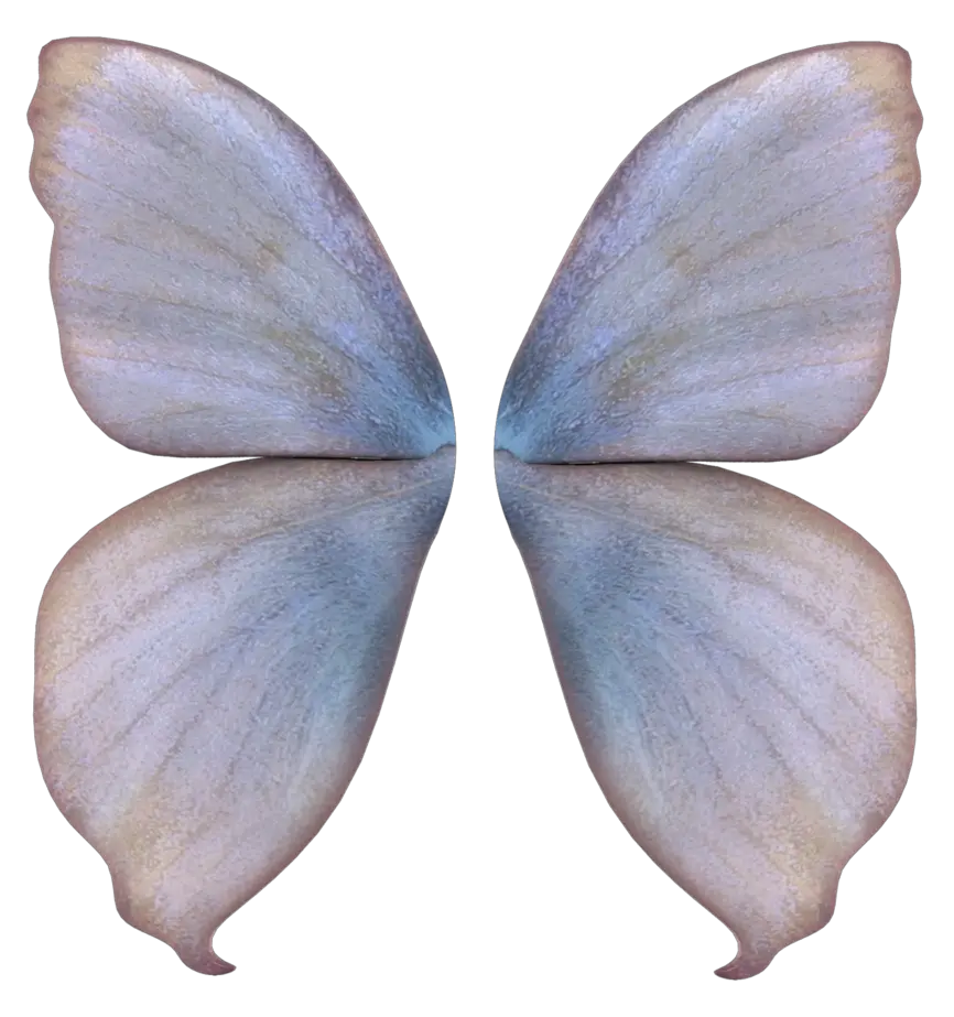 Fairy Wings Transparent Background Png