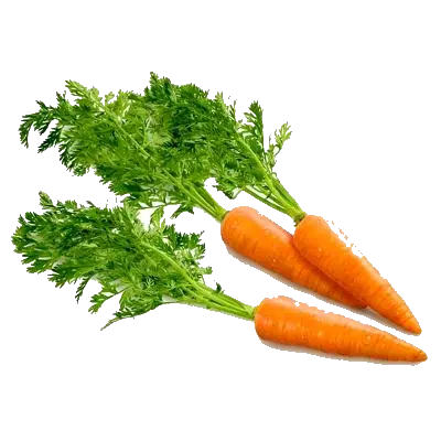 Free Carrot Transparent Background Carrot Png Carrot Transparent Background