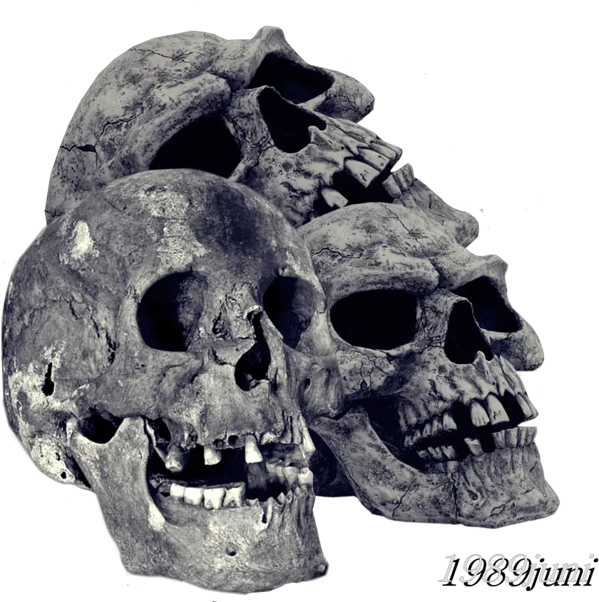 Pile Of Skulls Png Transparent Image Transparent Skull Png Png Stone For Editing Skull Png Transparent