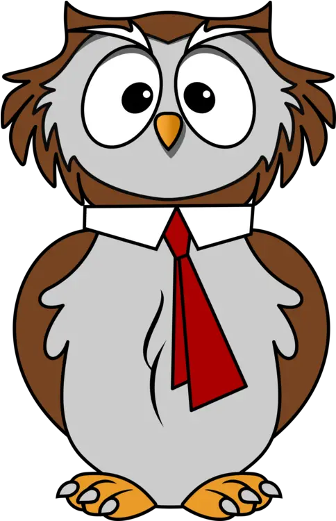Wise Owl Drawing Free Download Wise Owl Cartoon Png Owl Transparent