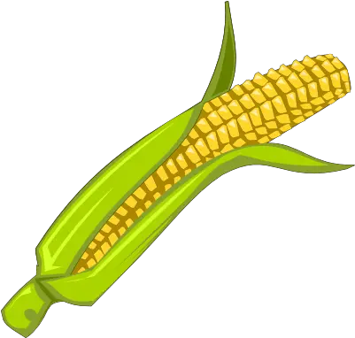 Download Corn Clipart Png Babycorn Clipart Corn Transparent Background