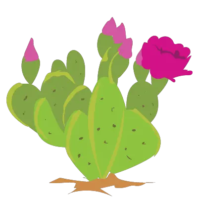 Prickly Pear Cactus Clipart Illustration Png Cactus Clipart Png