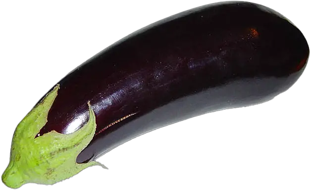 Eggplant Download Free Png Play Brinjal And Eggplant Difference Eggplant Transparent