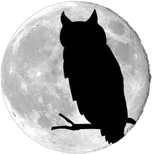 Owl Moon Png Womenu0027s T Shirt Owl Moon Png Made In Usa Png