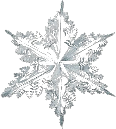 Silver Snowflake Png Transparent Image Mart Winter Snowflake Snowflake Png Transparent