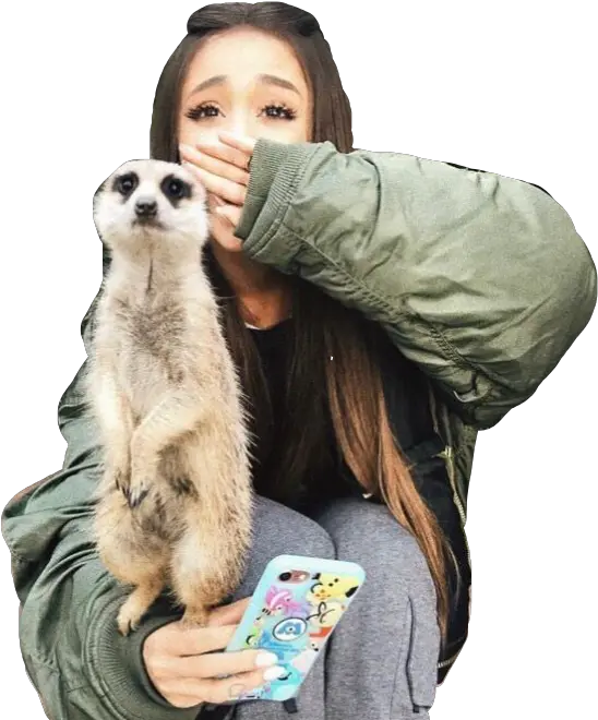 Download Arianagrande Meerkat Zoo Cute Freetoedit Ariana Ariana Grande Australia Zoo Png Meerkat Png