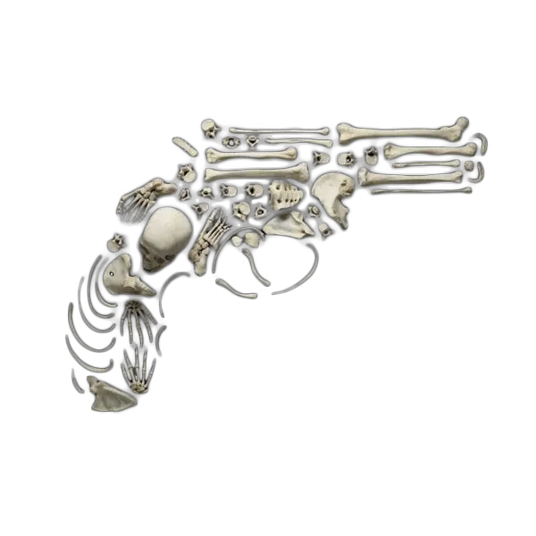 Western Gun Png