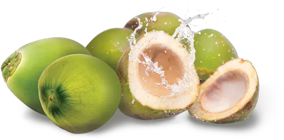 Young Coconut Png Image Png Transparent Background Coconut Png Coconut Png
