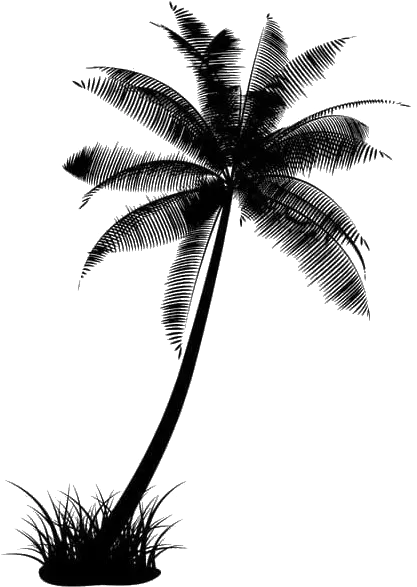 Black Coconut Tree Transparent Coconut Tree Png Black Palm Trees Transparent