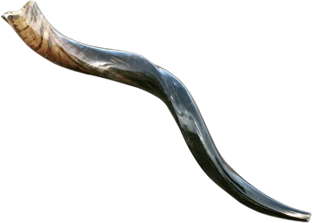 Download Medium Yemenite Shofar Shofar Transparent Background Png Shofar Png